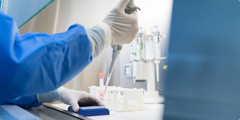 ソレイジアとは