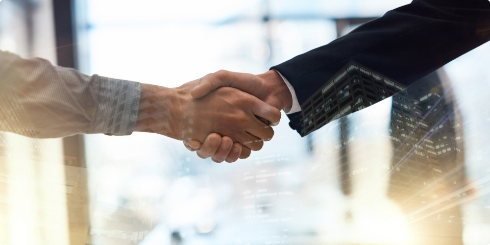 マネジメント&役員