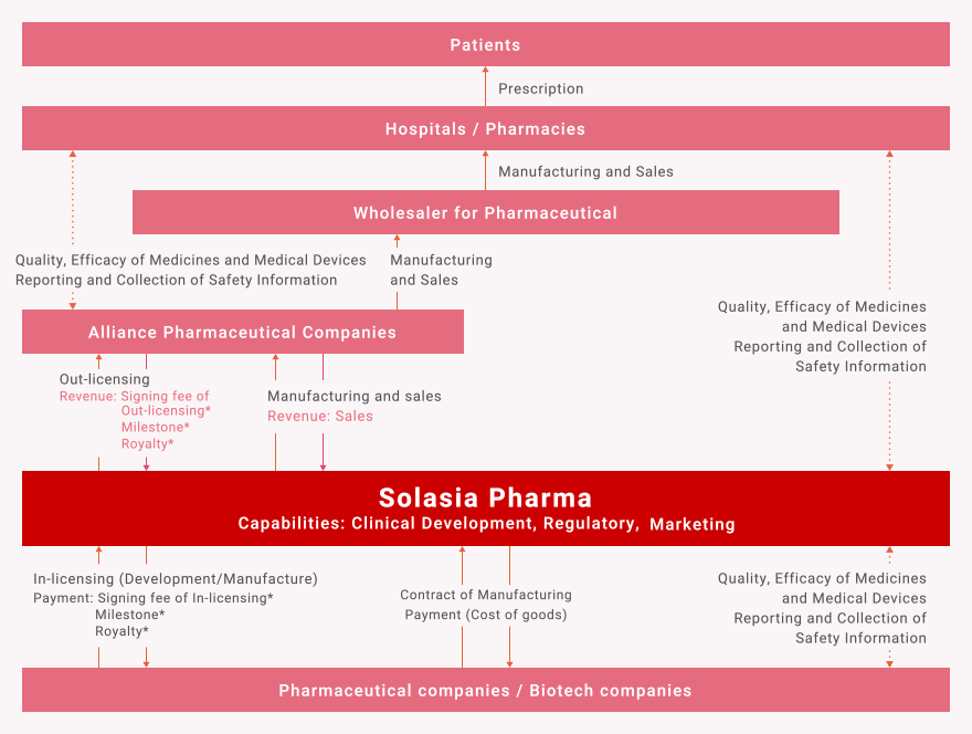 Our business position in the pharmaceutical supply chain