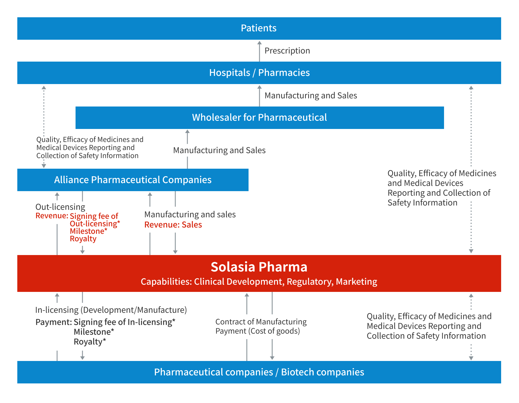 Our business position in the pharmaceutical supply chain